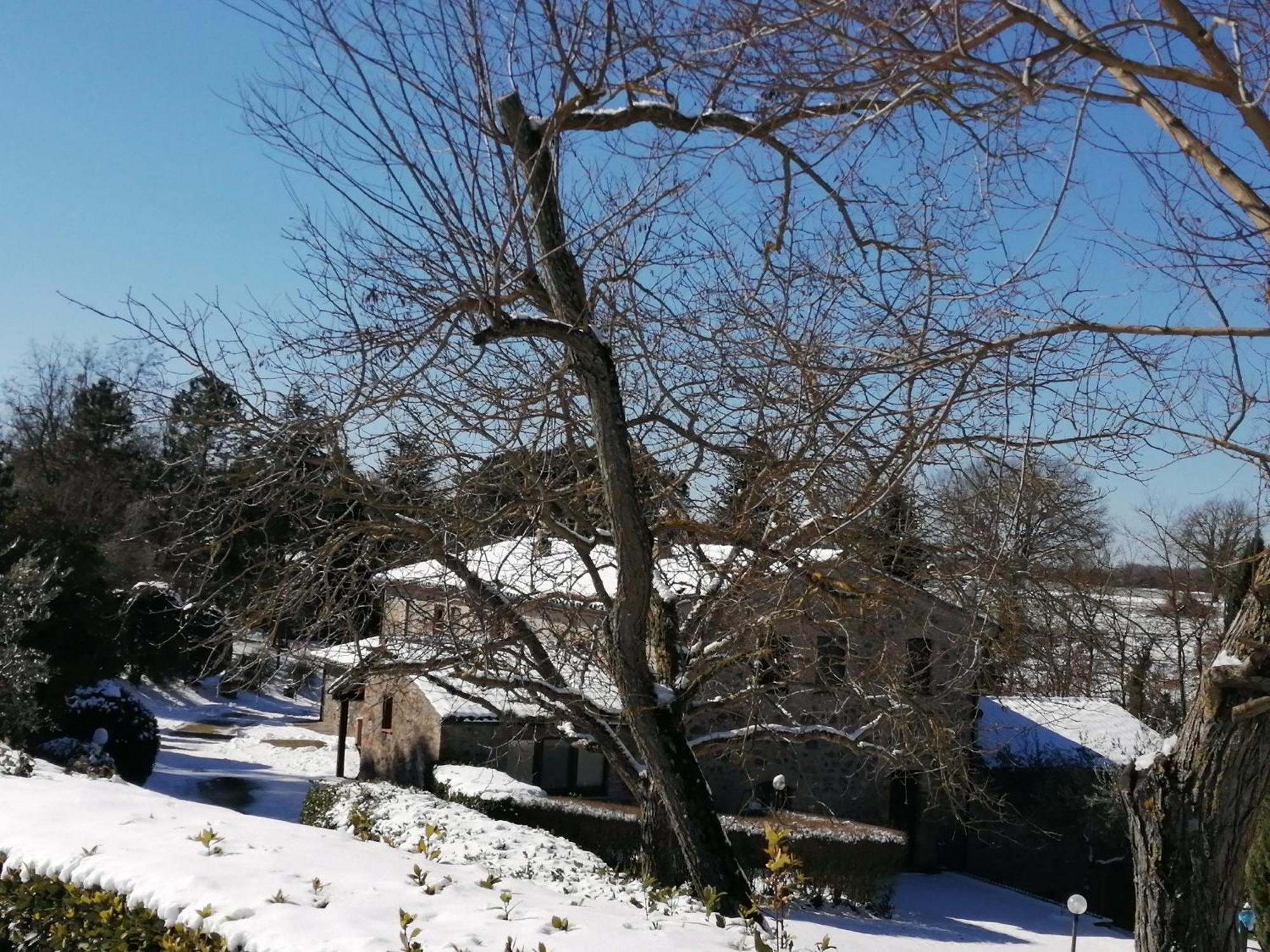 Agriturismo Il Cornalino Castel Viscardo Exterior foto