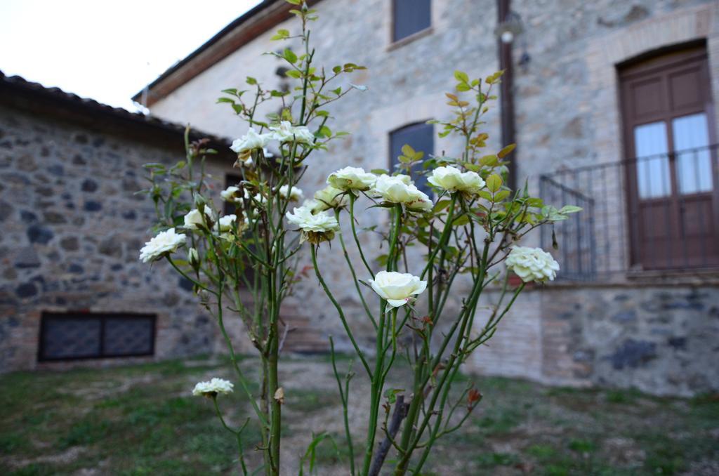 Agriturismo Il Cornalino Castel Viscardo Exterior foto